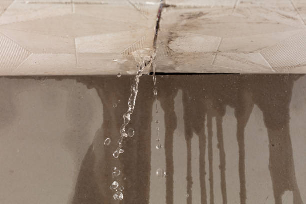 Professional Structural Drying technician working in Huffman, TX